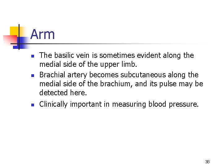 Arm n The basilic vein is sometimes evident along the medial side of the