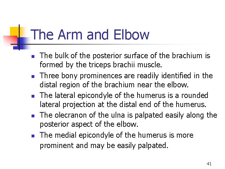 The Arm and Elbow n n n The bulk of the posterior surface of