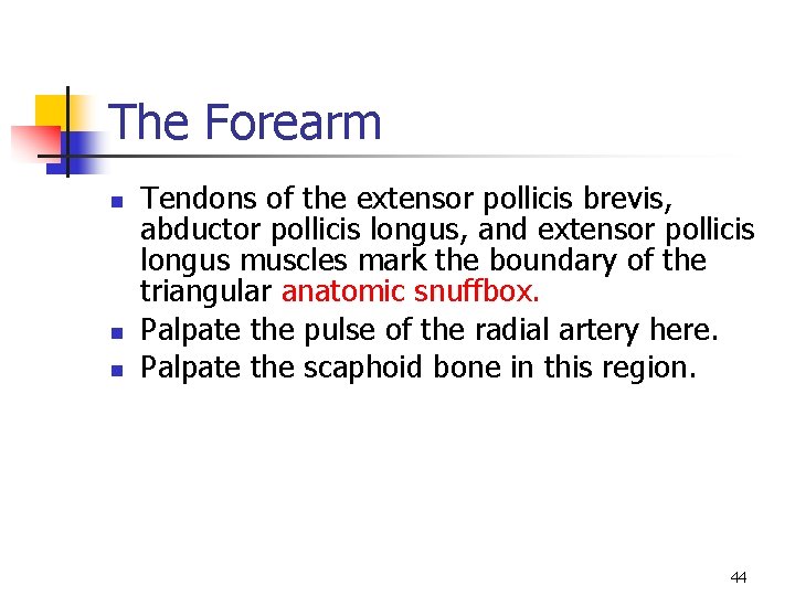 The Forearm n n n Tendons of the extensor pollicis brevis, abductor pollicis longus,