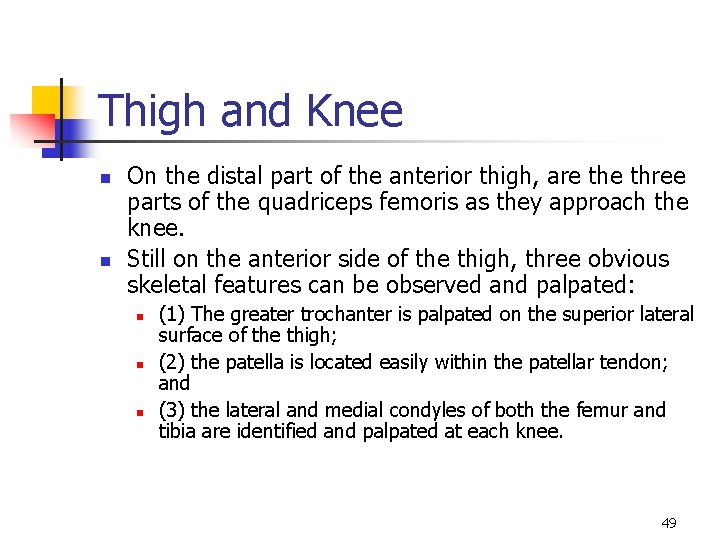 Thigh and Knee n n On the distal part of the anterior thigh, are