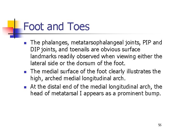 Foot and Toes n n n The phalanges, metatarsophalangeal joints, PIP and DIP joints,
