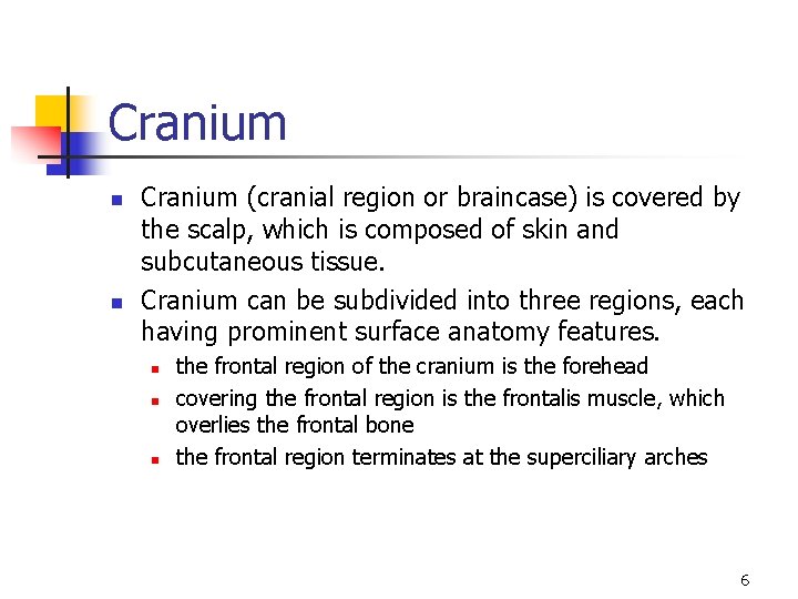 Cranium n n Cranium (cranial region or braincase) is covered by the scalp, which