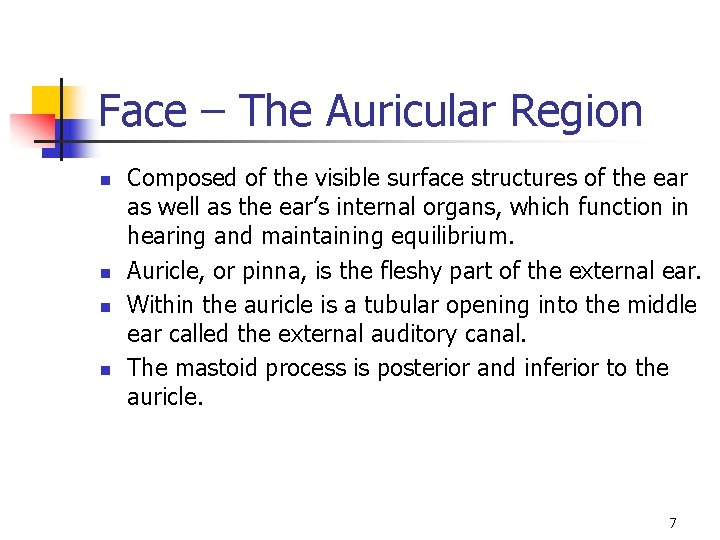Face – The Auricular Region n n Composed of the visible surface structures of