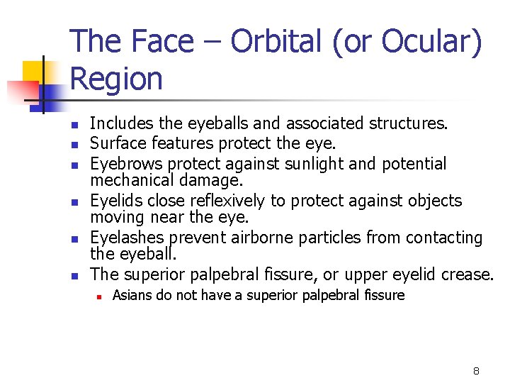 The Face – Orbital (or Ocular) Region n n n Includes the eyeballs and