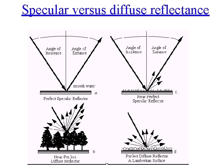 Specular versus diffuse reflectance 