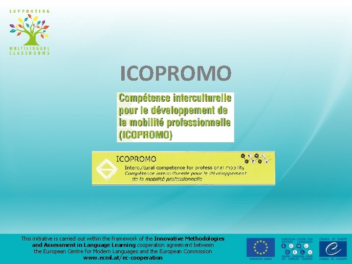 ICOPROMO This initiative is carried out within the framework of the Innovative Methodologies and