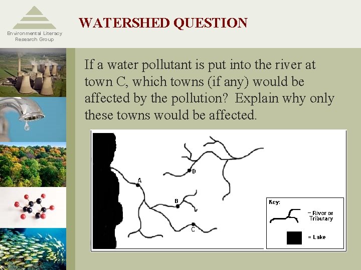 Environmental Literacy Research Group WATERSHED QUESTION If a water pollutant is put into the