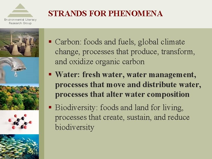 Environmental Literacy Research Group STRANDS FOR PHENOMENA § Carbon: foods and fuels, global climate