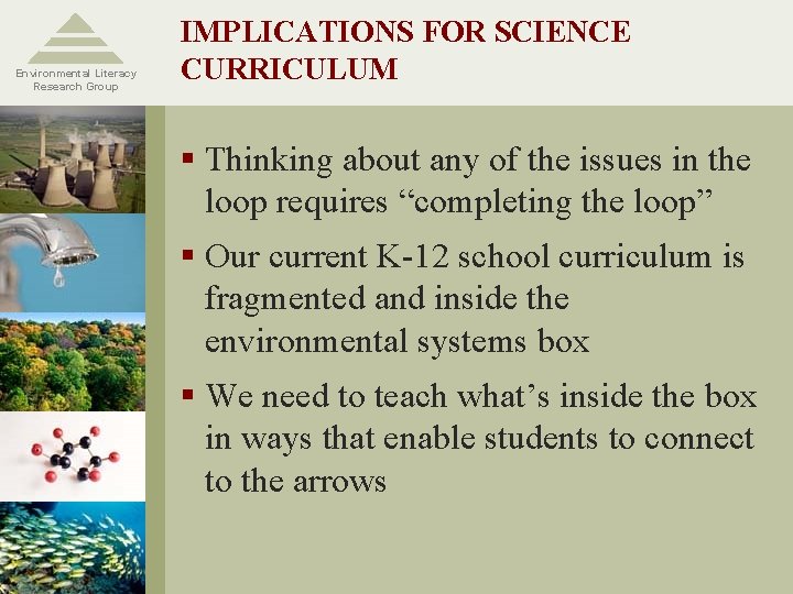 Environmental Literacy Research Group IMPLICATIONS FOR SCIENCE CURRICULUM § Thinking about any of the