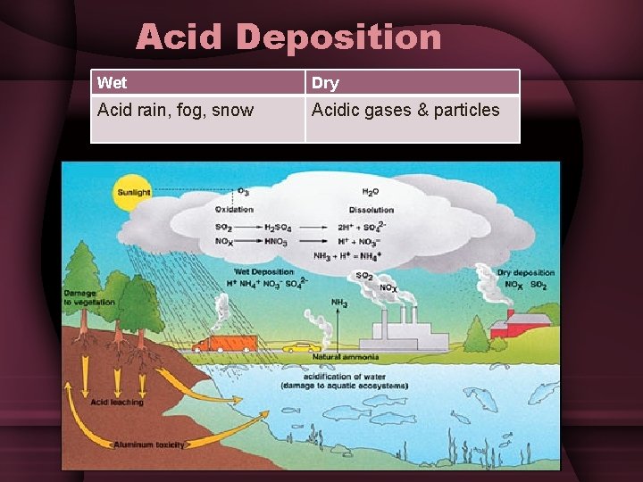 Acid Deposition Wet Dry Acid rain, fog, snow Acidic gases & particles 