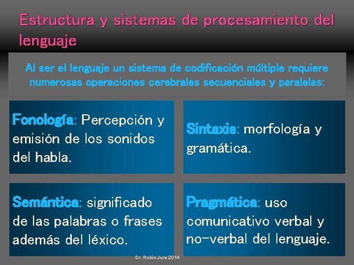 Estructura y sistemas de procesamiento del lenguaje Al ser el lenguaje un sistema de