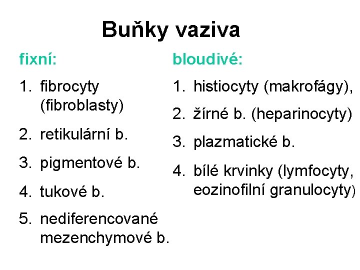 Buňky vaziva fixní: bloudivé: 1. fibrocyty (fibroblasty) 1. histiocyty (makrofágy), 2. retikulární b. 3.