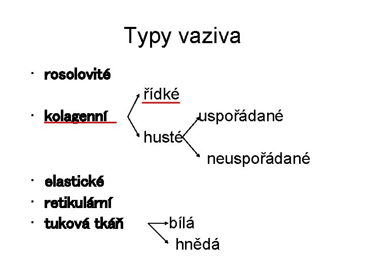 Typy vaziva • rosolovité řídké uspořádané • kolagenní husté neuspořádané • elastické • retikulární