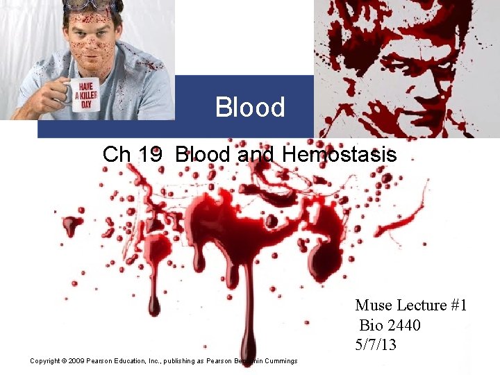 Blood Ch 19 Blood and Hemostasis Muse Lecture #1 Bio 2440 5/7/13 Copyright ©