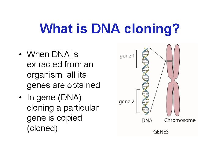 What is DNA cloning? • When DNA is extracted from an organism, all its