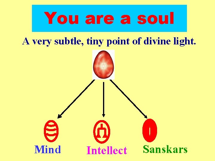 You are a soul A very subtle, tiny point of divine light. Mind Intellect