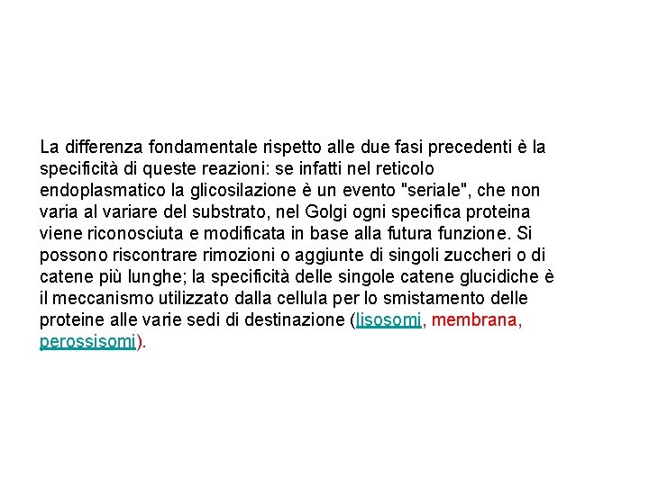 La differenza fondamentale rispetto alle due fasi precedenti è la specificità di queste reazioni: