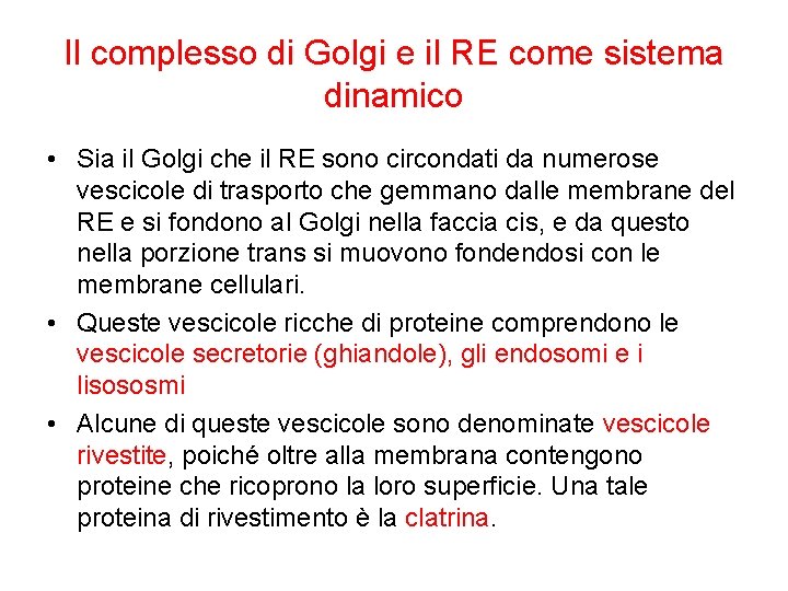 Il complesso di Golgi e il RE come sistema dinamico • Sia il Golgi