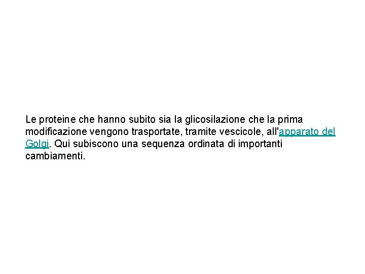 Le proteine che hanno subito sia la glicosilazione che la prima modificazione vengono trasportate,