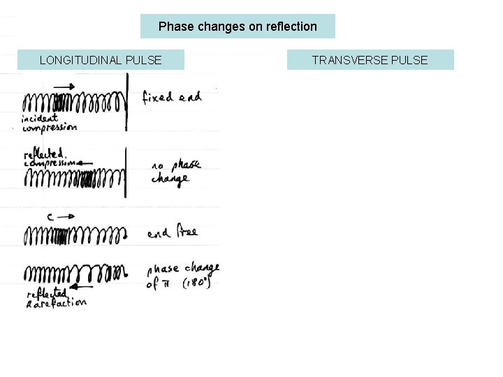 Phase changes on reflection LONGITUDINAL PULSE TRANSVERSE PULSE 