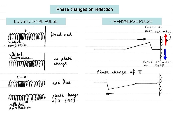 Phase changes on reflection LONGITUDINAL PULSE TRANSVERSE PULSE 