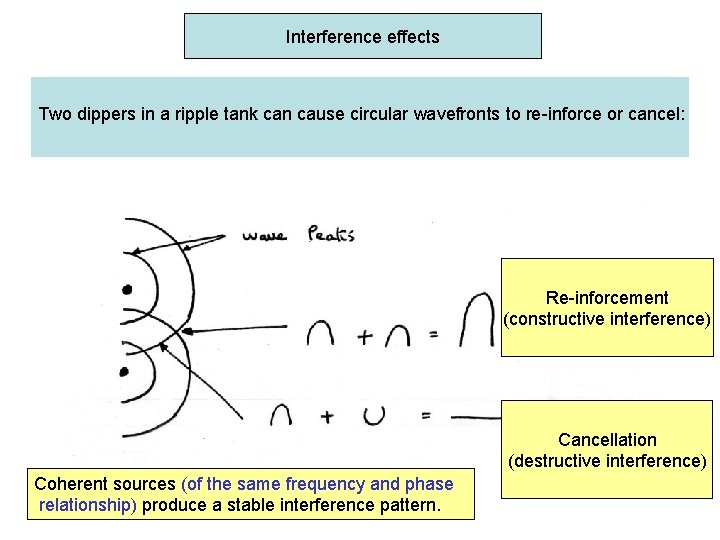 Interference effects Two dippers in a ripple tank can cause circular wavefronts to re-inforce