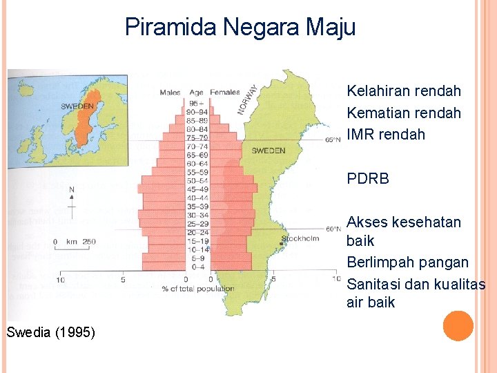 Piramida Negara Maju Kelahiran rendah Kematian rendah IMR rendah PDRB Akses kesehatan baik Berlimpah