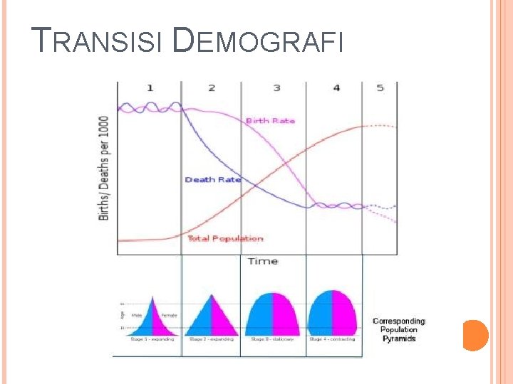 TRANSISI DEMOGRAFI 