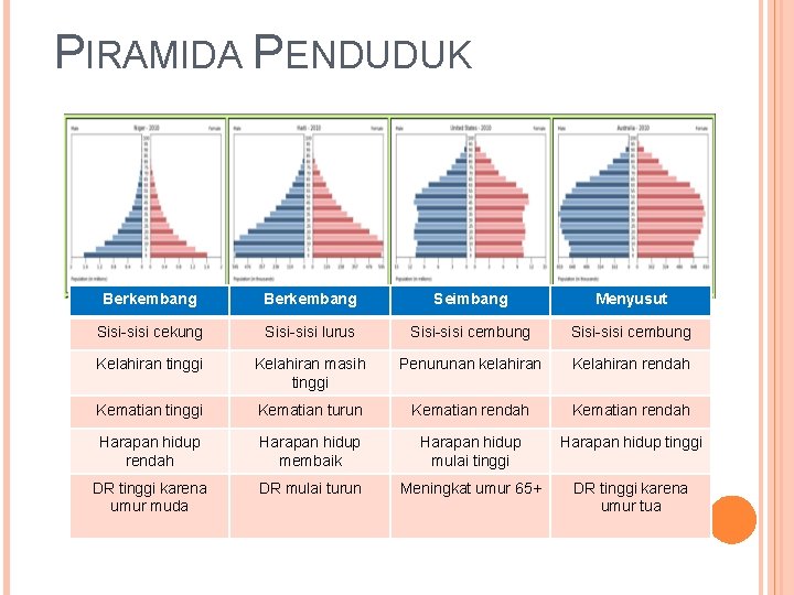 PIRAMIDA PENDUDUK Berkembang Seimbang Menyusut Sisi-sisi cekung Sisi-sisi lurus Sisi-sisi cembung Kelahiran tinggi Kelahiran