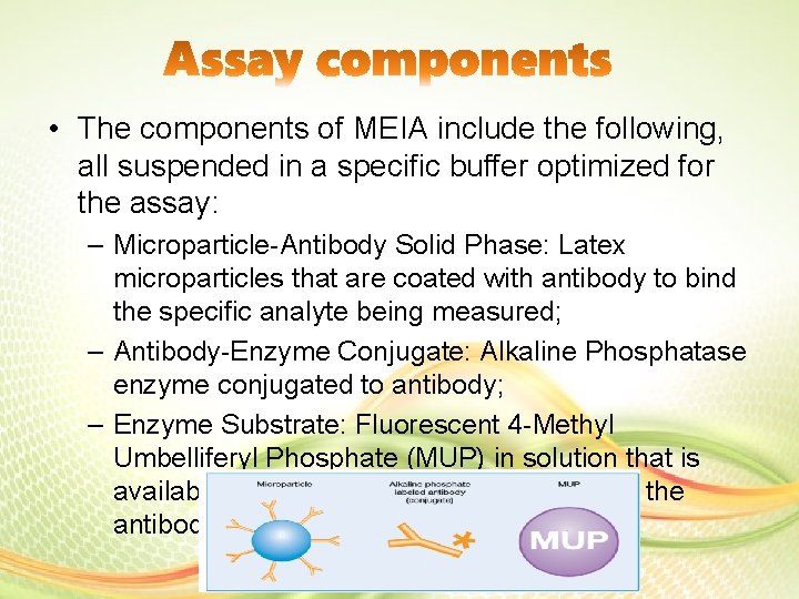 • The components of MEIA include the following, all suspended in a specific • The components of MEIA include the following, all suspended in a specific