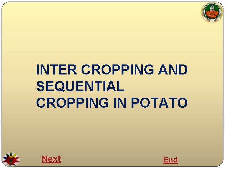 INTER CROPPING AND SEQUENTIAL CROPPING IN POTATO Next End 