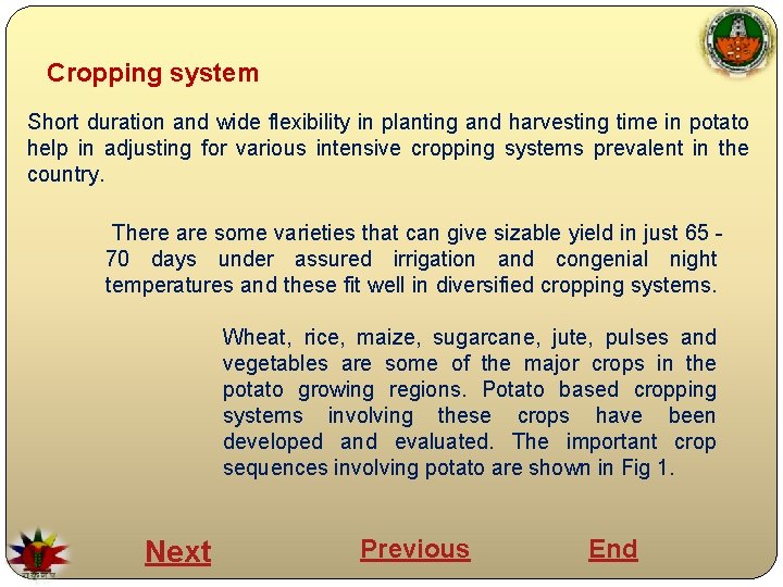 Cropping system Short duration and wide flexibility in planting and harvesting time in potato