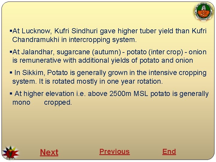 §At Lucknow, Kufri Sindhuri gave higher tuber yield than Kufri Chandramukhi in intercropping system.