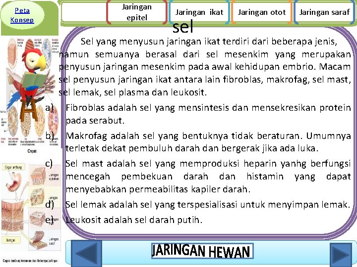 Jaringan epitel Peta Konsep a) b) c) d) e) Jaringan ikat sel Jaringan otot