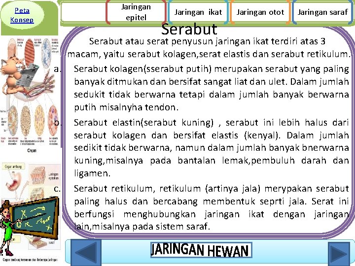 Peta Konsep Jaringan epitel Jaringan ikat Serabut Jaringan otot Jaringan saraf Serabut atau serat