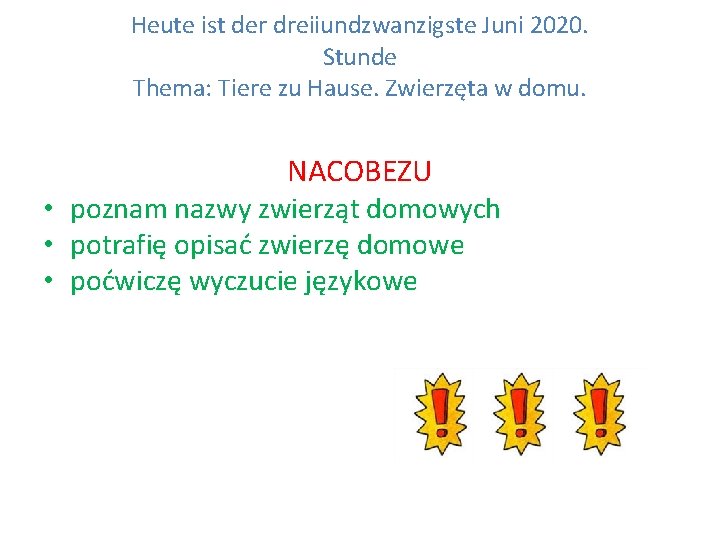 Heute ist der dreiiundzwanzigste Juni 2020. Stunde Thema: Tiere zu Hause. Zwierzęta w domu.