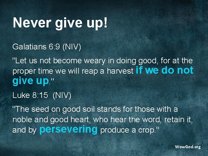 Never give up! Galatians 6: 9 (NIV) "Let us not become weary in doing