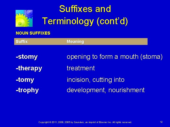 Suffixes and Terminology (cont’d) NOUN SUFFIXES Suffix Meaning -stomy opening to form a mouth