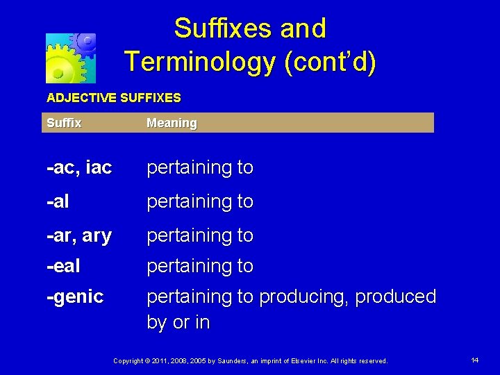 Suffixes and Terminology (cont’d) ADJECTIVE SUFFIXES Suffix Meaning -ac, iac pertaining to -al pertaining