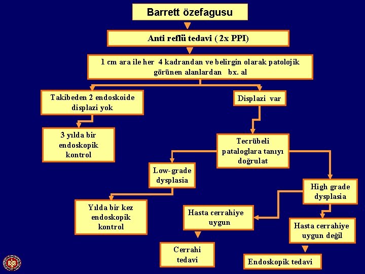 Barrett özefagusu Anti reflü tedavi ( 2 x PPI) 1 cm ara ile her