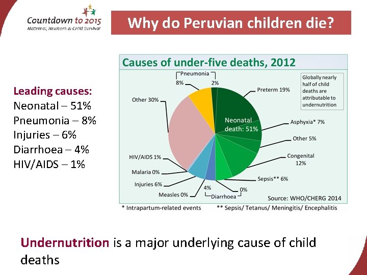 Why do Peruvian children die? Leading causes: Neonatal – 51% Pneumonia – 8% Injuries