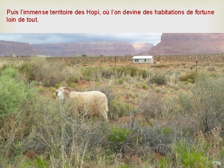 Puis l’immense territoire des Hopi, où l’on devine des habitations de fortune loin de