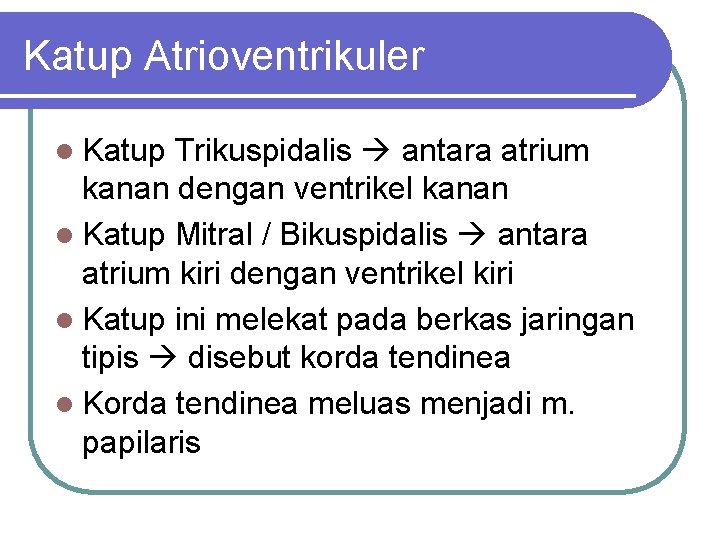 Katup Atrioventrikuler l Katup Trikuspidalis antara atrium kanan dengan ventrikel kanan l Katup Mitral