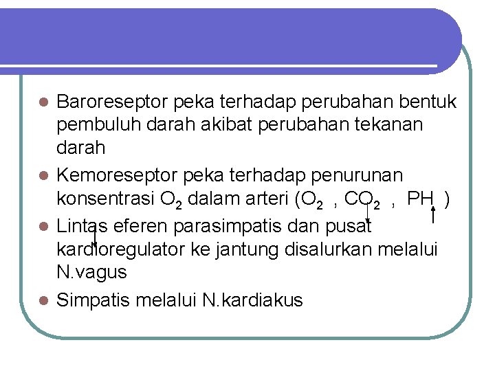 Baroreseptor peka terhadap perubahan bentuk pembuluh darah akibat perubahan tekanan darah l Kemoreseptor peka