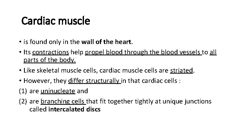 Cardiac muscle • is found only in the wall of the heart. • Its