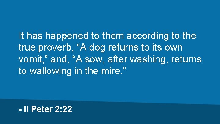 It has happened to them according to the true proverb, “A dog returns to