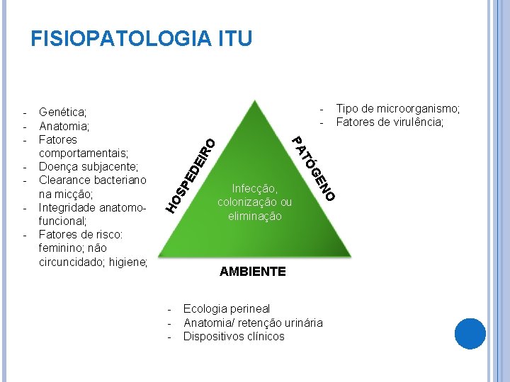 FISIOPATOLOGIA ITU IR O ED E SP HO O - Infecção, colonização ou eliminação