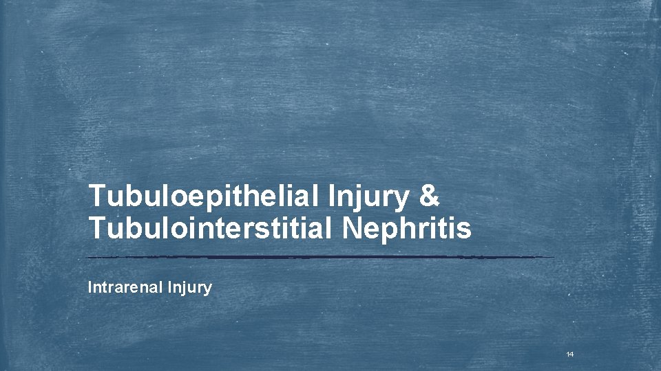Tubuloepithelial Injury & Tubulointerstitial Nephritis Intrarenal Injury 14 
