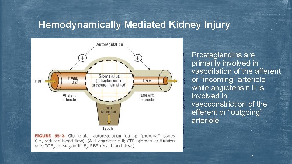 Hemodynamically Mediated Kidney Injury Prostaglandins are primarily involved in vasodilation of the afferent or