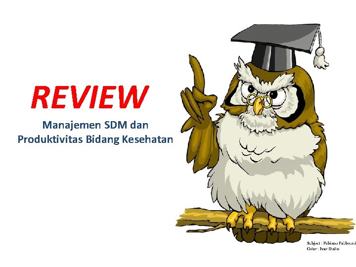 REVIEW Manajemen SDM dan Produktivitas Bidang Kesehatan 